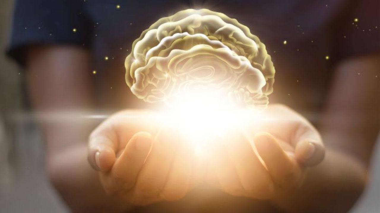 Učinkovitost magnezijevega L-treonata pri obnovi možganov