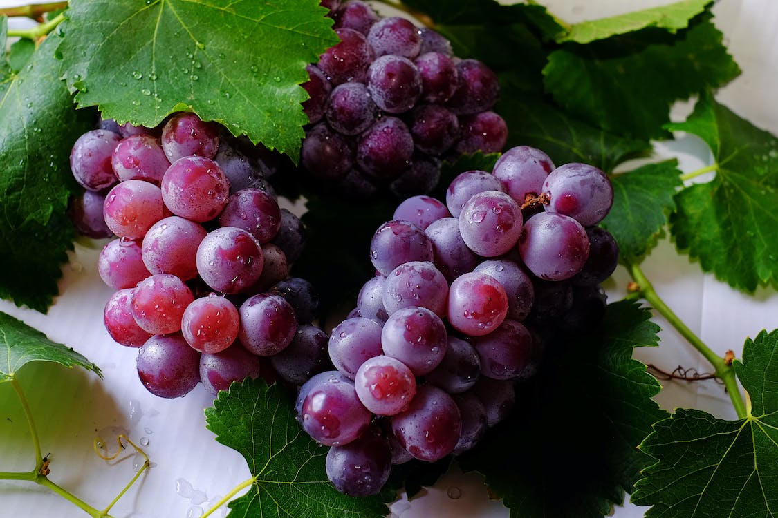 Resveratrol: protistrup za staranje